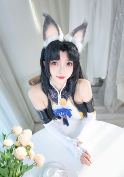 动物神探队