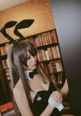 女士的法则电视剧免费观看