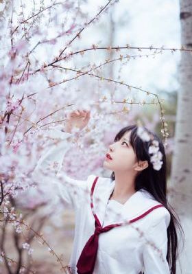 人间天堂免费视频观看