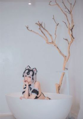 完美伴侣